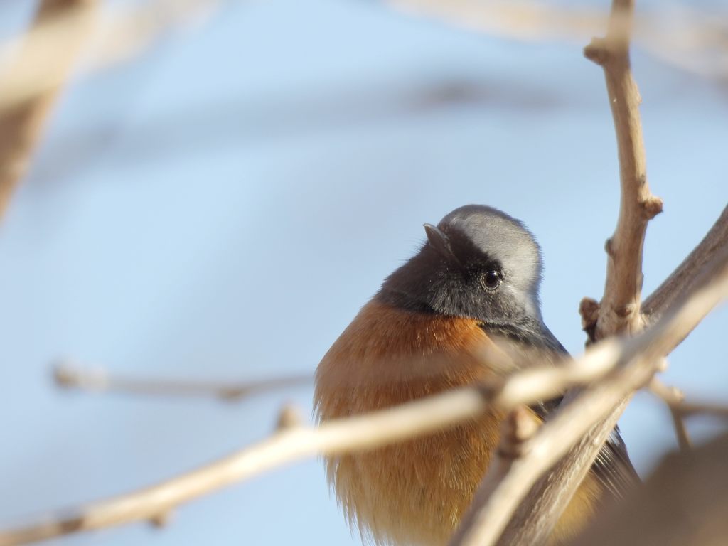 な～に？　DSCN3076