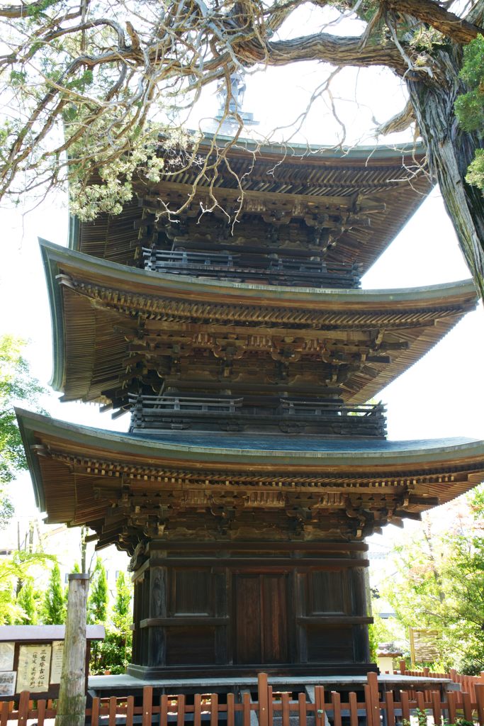 信濃国分寺三重塔   DSC_2849