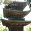 信濃国分寺三重塔   DSC_2849