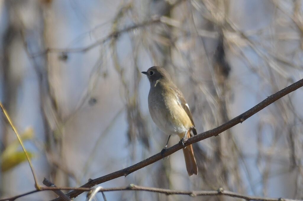 プイッ！　DSC_5402