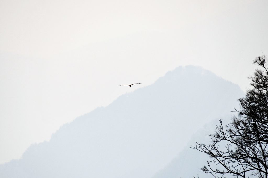 春、山霞む