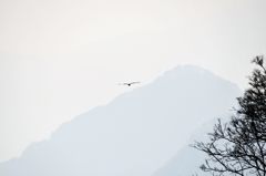 春、山霞む
