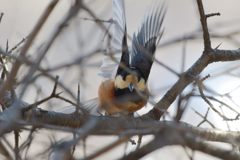 見てね～！　DSC_5688