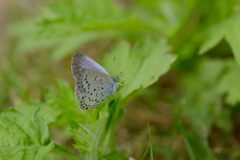 翅休め　　DSC_1342