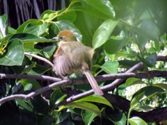 甘えん坊　IMG_0962