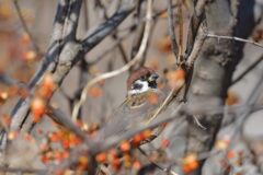 どれから食べようかな　　DSC_4643