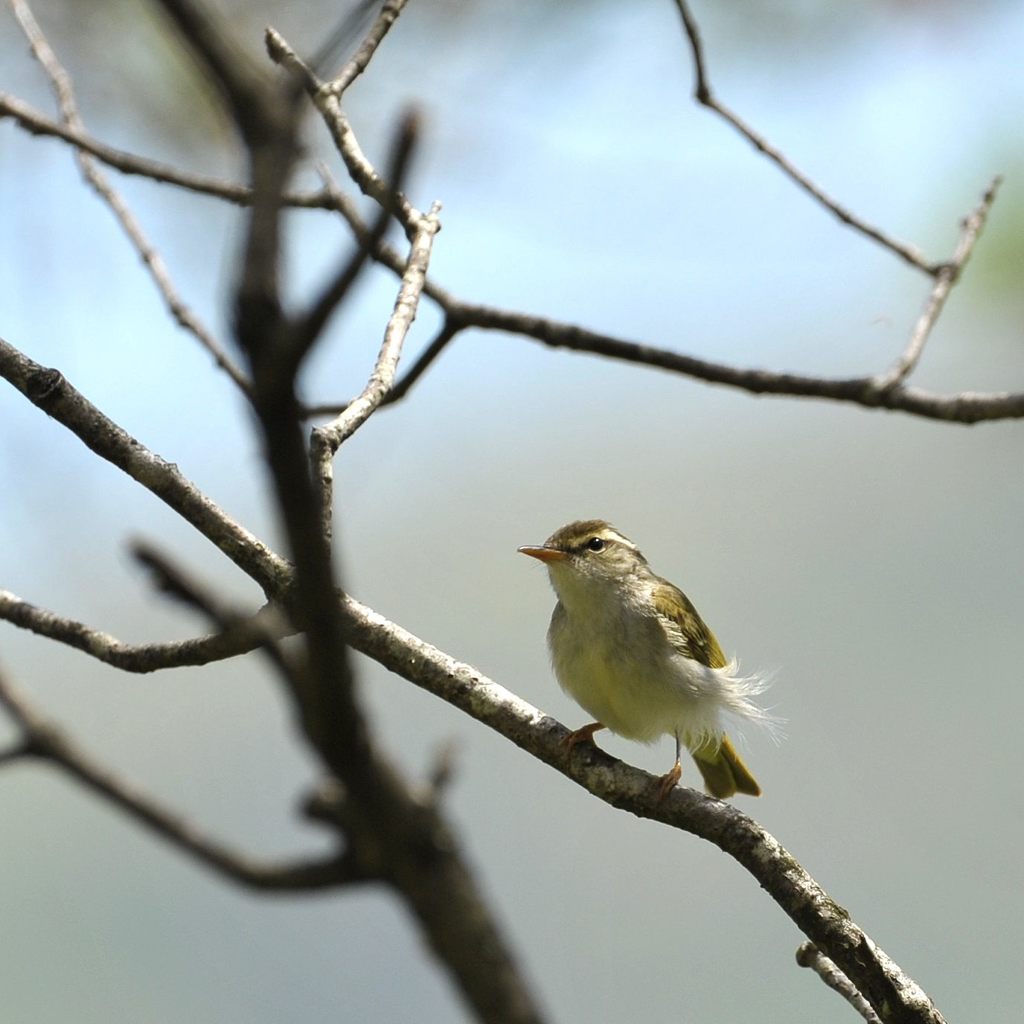 また会えたね　DSC_3064