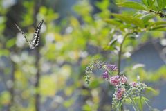 ごちそうさまでした！　DSC_6859