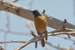 近くに来てくれてありがとう　　DSC_4647