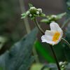 秋の気配　　DSC_5313