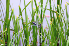 「愛のかたち」　DSC_0924