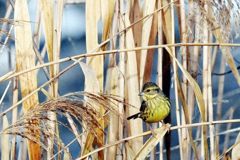 また会えたね   DSC_9233