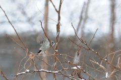 他へ行こうかな　　DSC_3253