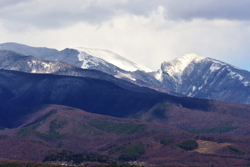 寒の戻り　DSC_8380