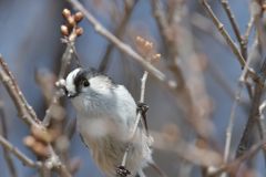 ねえ、ねえ・・・　DSC_7940