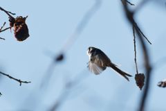 次行こう！　DSC_6857