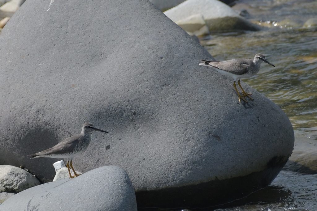 君たちは・・・　DSC_2771