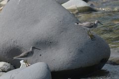 君たちは・・・　DSC_2771