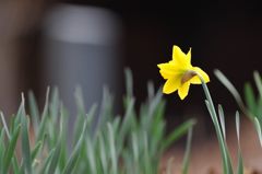 見つめる・・・　DSC_1612