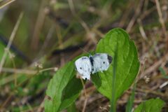 命の限り　　DSC_4511