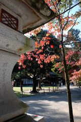 武田神社にて　　DSC_5138