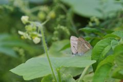 寄り添って　DSC_7567