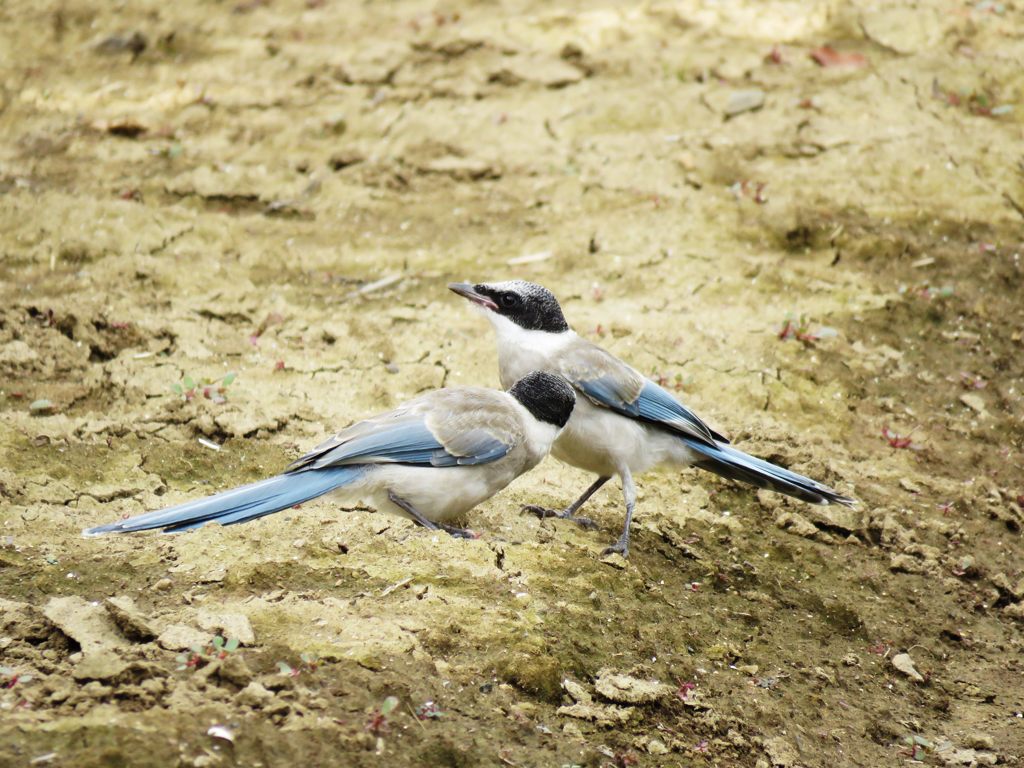 ボチボチ行こうか　IMG_3427