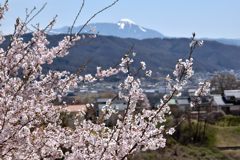 蓼科山背景に　DSC_7939