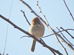 視線の先に・・・　DSCN0582