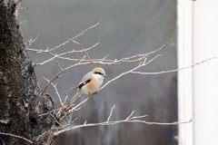 ？？？・・・・　　 DSC_6026
