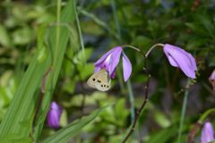 いっただきま～す！　DSC_5316