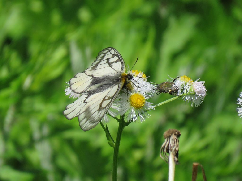 分かち合う　　IMG_0650