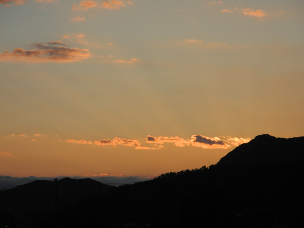朝の散歩雲