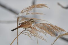 お腹すいた～　　DSC_7990