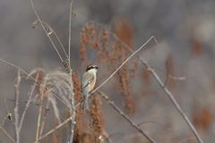もう一度上見て　DSC_3590
