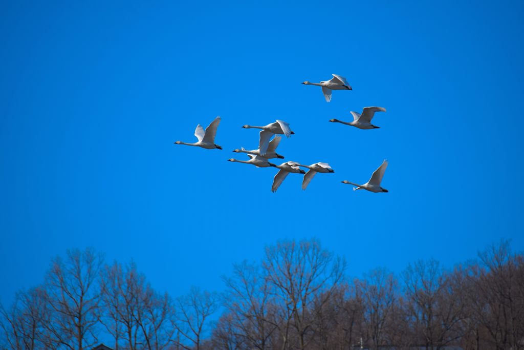 もう行くの？　　DSC_0502