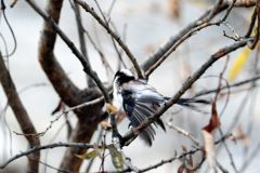 こっちもきれいに！　　 DSC_9434