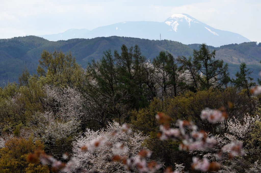 季節のリレー（蓼科山）　DSC_2481