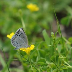 おいしい～！　DSC_4061