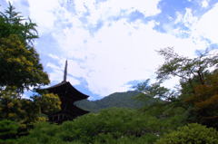 盛夏の古塔 DSC_0093