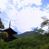 盛夏の古塔 DSC_0093
