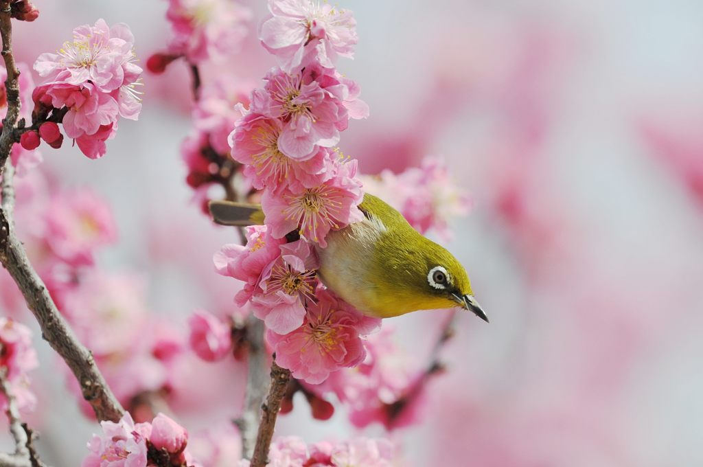 そっちもよさそ～　　DSC_1412