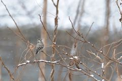 上はどうかな？　　DSC_3250
