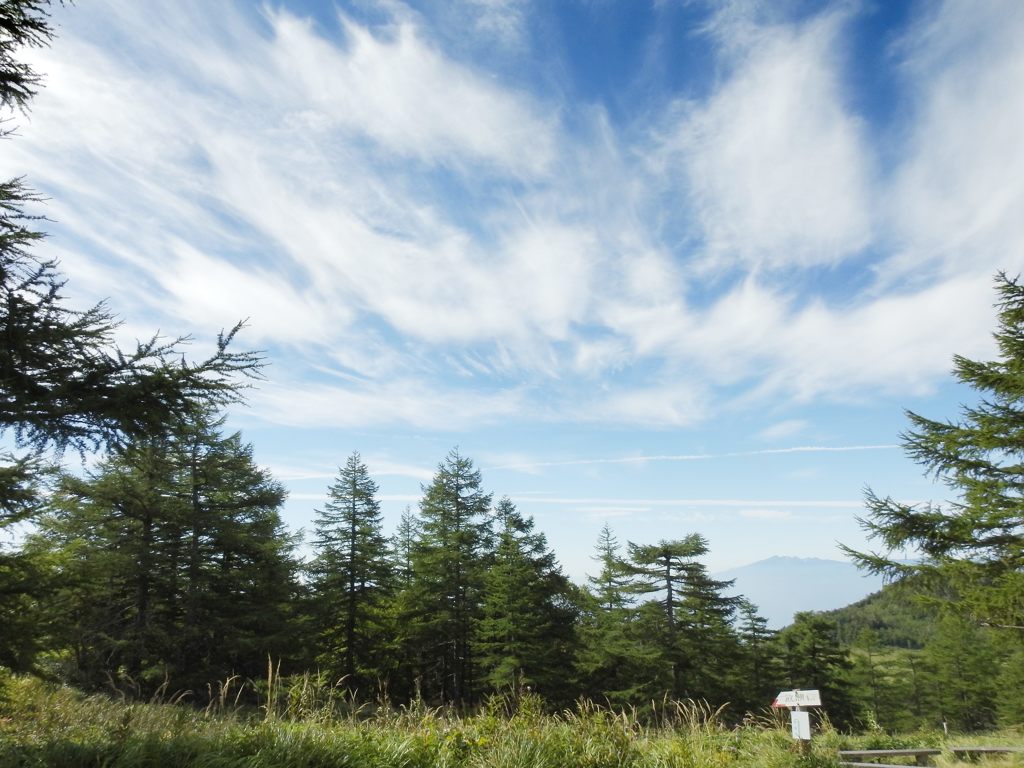 秋の空　DSCN6216