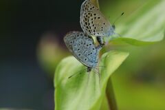 命を繋ぐ　DSC_7753