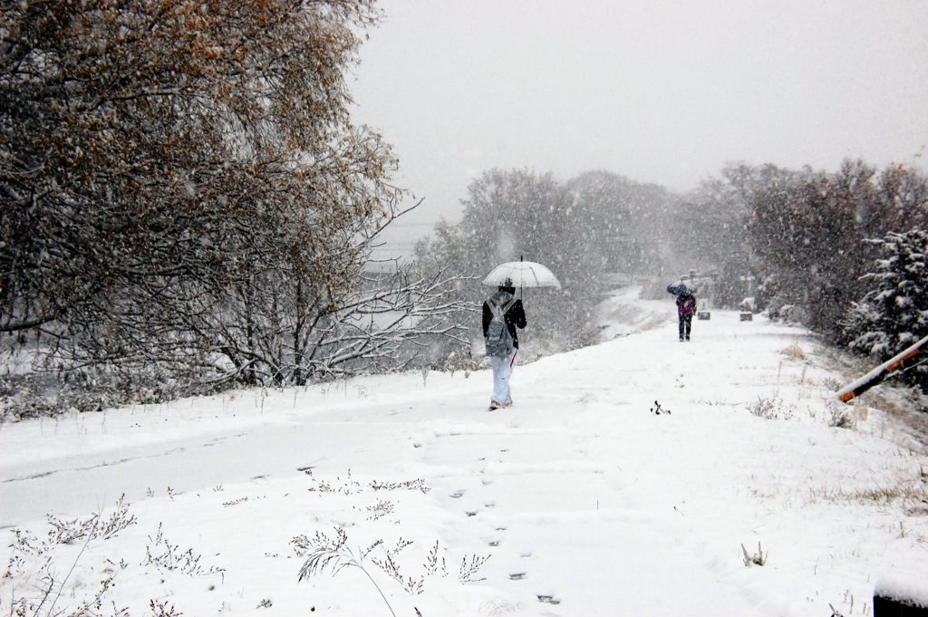 初雪の朝　　DSC_5462