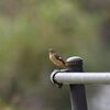 また遊ぼうね　　　DSC_3576