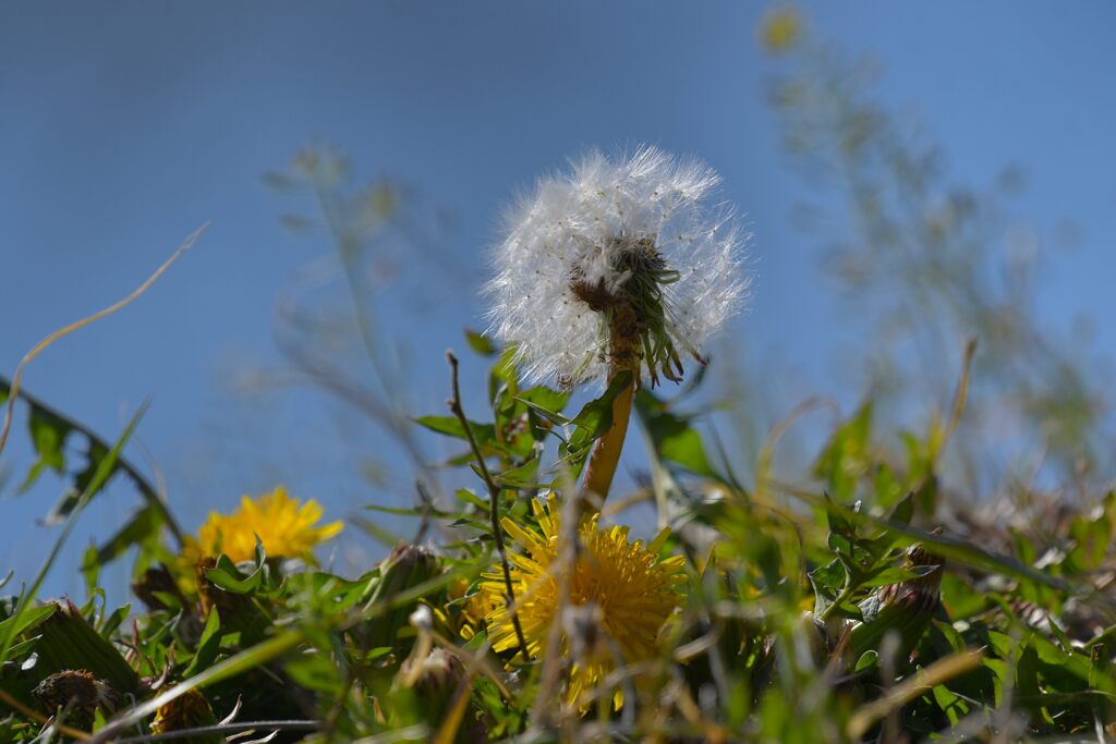 風を待つ　　DSC_8936