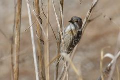 よし、決めた！　DSC_7418