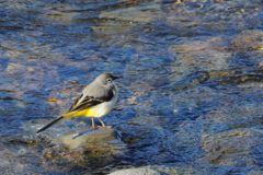何考えてるの？　　 DSC_1649